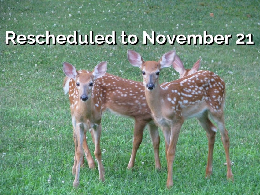 Saddle River Continues The Deer Hunt